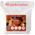 BULK SisPants - Disposable Period Underwear for Women, Postpartum Panties, Maternity, M to XL, 40Bags/Carton